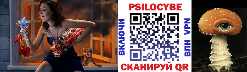 Купить  Карталы  Галлюциногенные грибы Magic Shrooms 